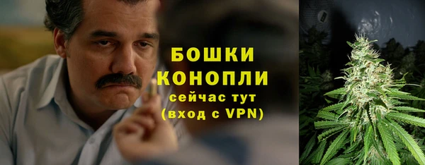 гидра Лабытнанги