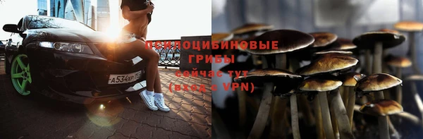 гидра Лабытнанги