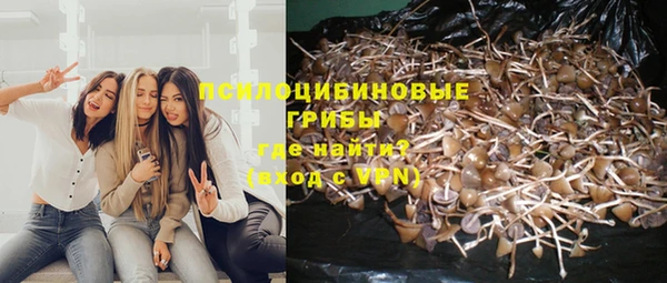 круглые Липки