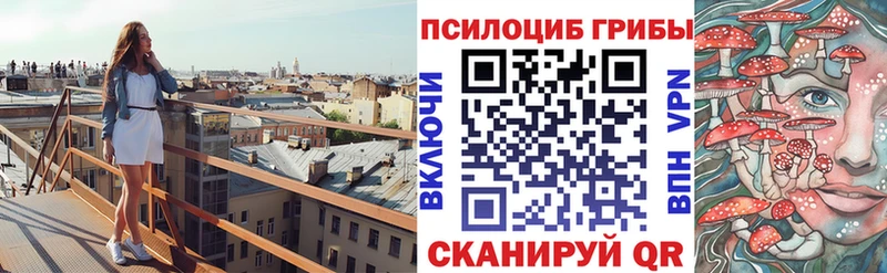 Купить где  Оленегорск  Псилоцибиновые грибы Psilocybine cubensis 
