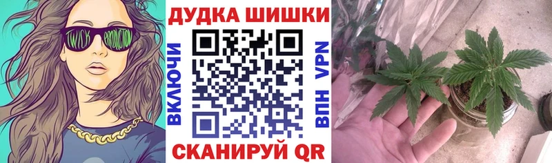 Купить закладки  Оленегорск  Марихуана план 
